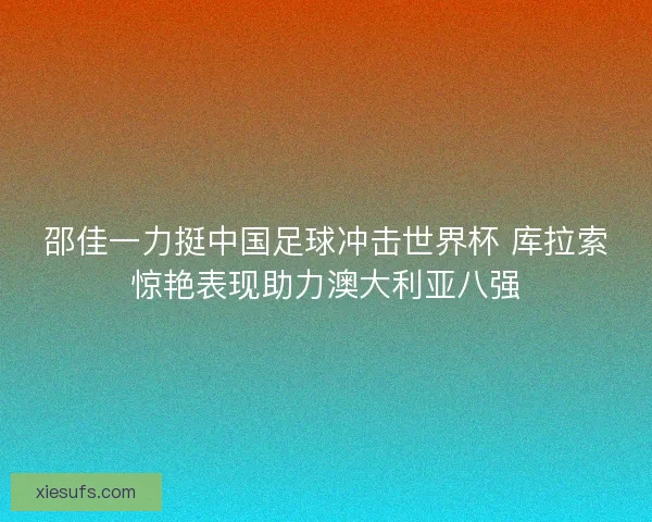 邵佳一力挺中国足球冲击世界杯 库拉索惊艳表现助力澳大利亚八强